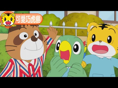 第12季【可愛巧虎島】樂樂去上幼兒園 #育兒 #卡通 #動畫