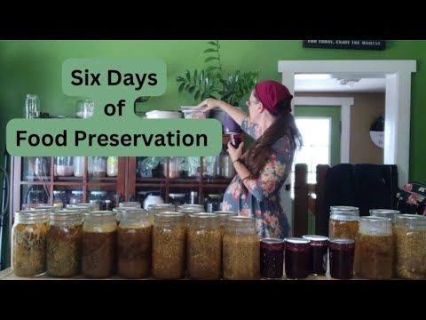 Easy Food Preservation ~ Canning, Freezing, & Drying ~ #everybitcountschallenge Week 2