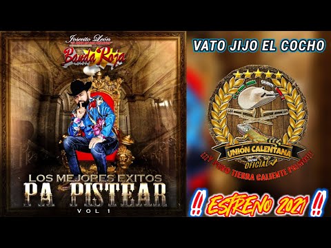 Vato Jijo El Cocho / Josecito León y Su Internacional Banda Roja / Estreno 2021