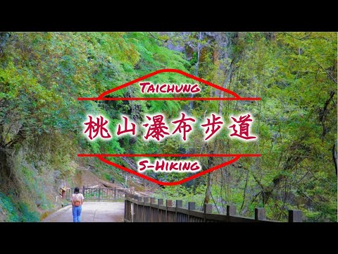 S步道｜台中｜桃山瀑布步道｜武陵賞花細水長流｜和平鄉