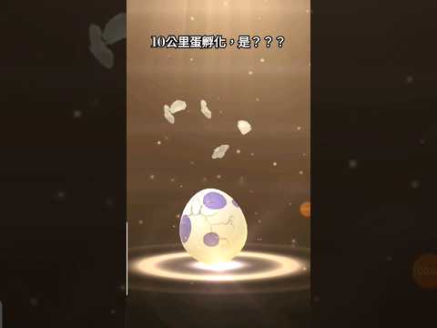 10公里蛋孵化，是？？？｜#pokémon #pokemongo #精靈寶可夢