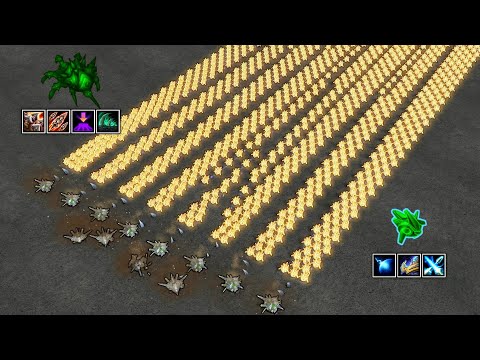 Can 1000 Probes beat 12 Lurkers?