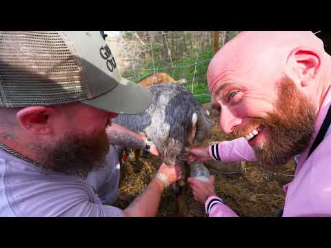 Doomsday Preppers In Appalachia!! Off The Grid Appalachian Food!!