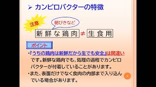 カンピロバスターズ『お勉強編（簡易版）』怖～いカンピロバクター食中毒とその予防