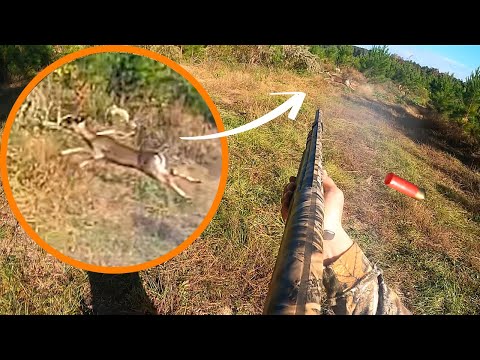 KILL SHOT Compilation Pt. 1!! | 2023 Deer Hunting With Dogs