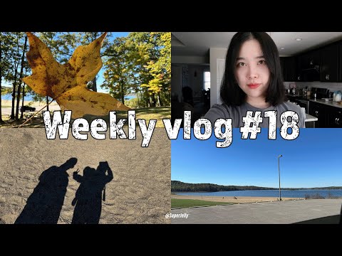 【强子的VLOG#18】近期出租房遇到的烦心事｜家庭秋游计划｜快速备餐｜房地产投资感悟