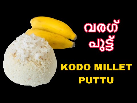 വരഗ് പുട്ട് | Kodo Millet Puttu |Diabetic Friendly Breakfast |Healthy Breakfast