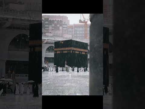 ya Rab E Mustafa tn mjy hajj py bola ly #yarabbemustafa #youtubeshorts #islamicshorts #shorts#viral