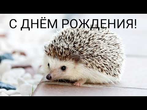 Самое красивое поздравление с днем рождения!