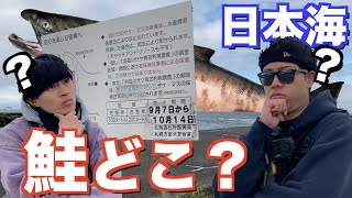 晩秋の11月に日本海で鮭釣れるの？【アキアジ終盤戦】