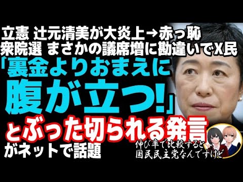 立憲民主党の辻元清美が能無し発言で大炎上→赤っ恥w衆院選、議席増の理由に国民大激怒・・・