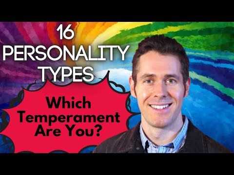 MBTI 4 Temperaments Explained: Improviser, Stabilizer, Catalyst & Theorist | Dario Nardi Interview