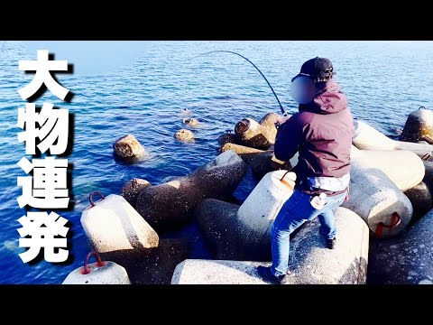 釣り初心者でも簡単に釣れるオススメの魚はこちらです。