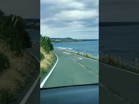 【4K】伊豆半島 -Izu Coastline-