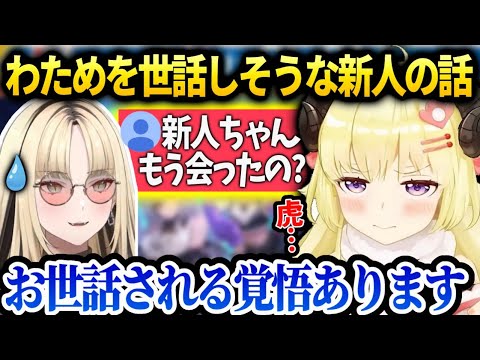 わためが注目してるflowglowの新人虎金妃笑虎ちゃんの話【角巻わため/ホロライブ】