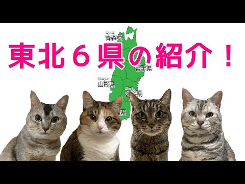 東北のグルメや観光地など良い所を紹介します！おしゃべりペット