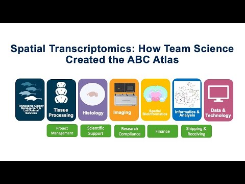 Spatial Transcriptomics: How Team Science Created the ABC Atlas