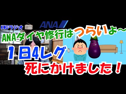 ANAダイヤ修行はつらいよ～１日4レグ死にかけました！