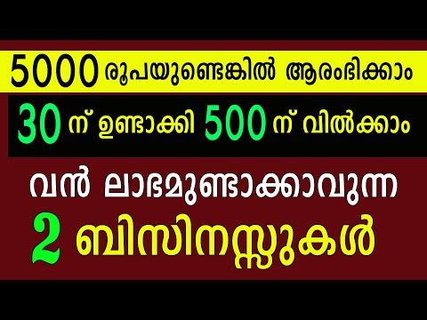 30 ന് ഉണ്ടാക്കി 500 ന് വിൽക്കാൻ പറ്റും വൻ ലാഭമുണ്ടാക്കാവുന്ന 2 ബിസിനസ്സുകൾ | 2 Profitable Business