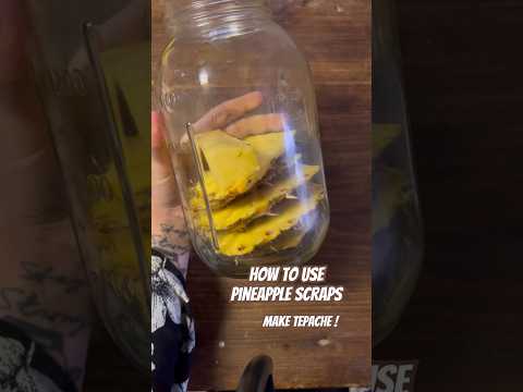 Today on the Homestead: Homemade Tepache with Pineapple Scraps |Easy Fermented Drink Recipe #shorts