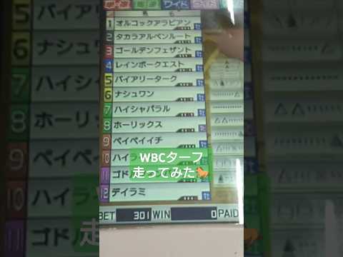 WBCターフにチャレンジ #short #shorts #スタホ #メダルゲーム #スターホース #競馬 #ラウンドワン #ゲーセン #ゲームセンター