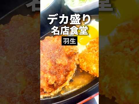 羽生グルメ【デカ盛り食堂】みや川