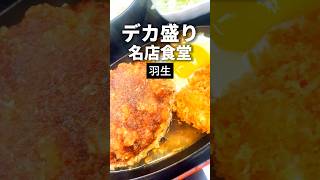 羽生グルメ【デカ盛り食堂】みや川