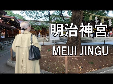 【Evening walking】パワースポットとして有名な明治神宮を散歩 Walking in MEIJI JINGU, famous as a power spot