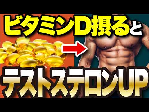 【男性ホルモン最強説】体脂肪減少・筋肉量・筋力UP！「テストステロン」の全て