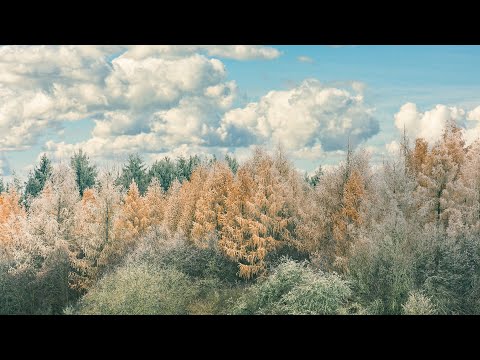 钢琴音乐  平静静心  解压放松  自然河水  Ambient  Music  piano music  relaxing music