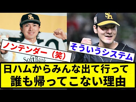 【疑問】日ハムからみんな出て行って誰も帰ってこない理由【プロ野球反応集】【2chスレ】【なんG】