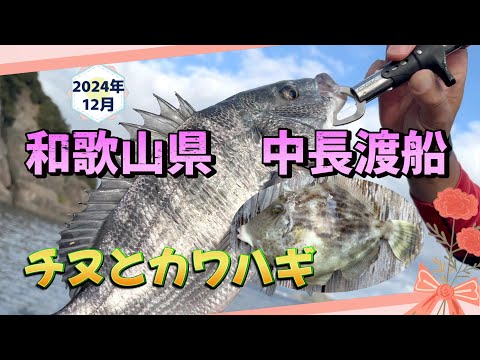 和歌山県、中長渡船の筏でかかり釣り。季節もののカワハギを狙います。相棒タケGも渾身の良型チヌを釣り上げ、2024年最後の釣行も楽しい１日になりました。