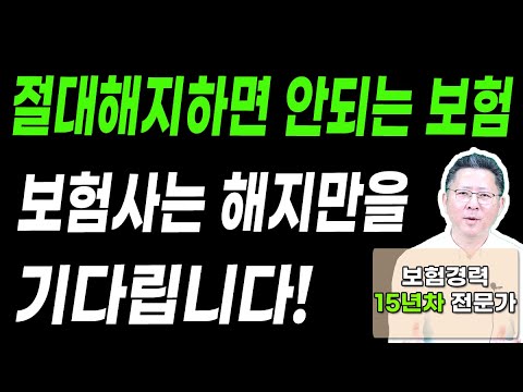 절대 해지하면 안되는 보험 3가지! 보험사는 해지만을 기다립니다!