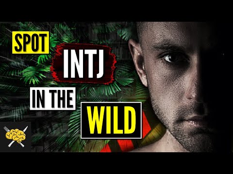 How To SPOT An INTJ In The Wild | INTJ Traits - Architect Personality