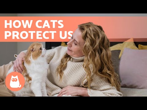 7 THINGS CATS DO to PROTECT You and Your Home 🐱✨