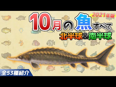 【あつ森】10月に釣れる魚を全て紹介！魚影や出現場所、時間、条件、買取値段など徹底解説！ゴールデントラウトやチョウザメ、シイラなどレア魚が大量【あつまれどうぶつの森　10月の魚図鑑コンプリート】