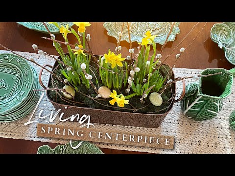 Living Spring Centerpiece - Indoor Spring Container - Easy Easter Table Centerpiece - Daffodils