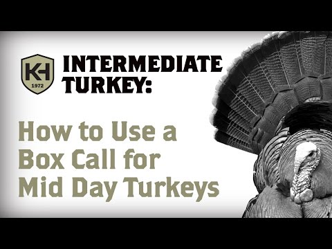 Using a Box Call For Mid Day Turkeys  | Knight & Hale Instructional