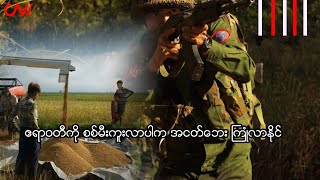 ဧရာဝတီကို စစ်မီးကူးလာပါက အငတ်ဘေး ကြုံလာနိုင်