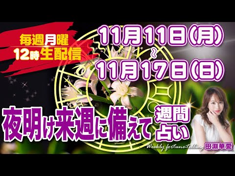 【週間占い】2024年11月11日(月)〜11月17日(日)夜明け！来週に備えて