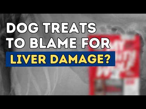 Veterinarian Warns: Dog Treats Causing Liver Damage! | Tula's Shocking Diagnosis Explained