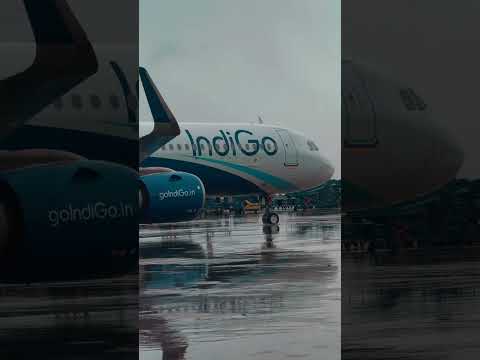 Service from the Heart | Monsoon Operations | IndiGo 6E