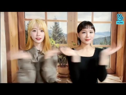 Dreamcatcher new way to clap👏🏻 | Just Siyeon and Jiu (Singji)🐺🐰 clapping like seals