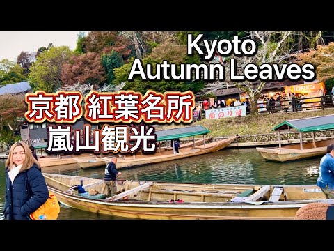 Autumn Leaves in Arashiyama, Kyoto, Japan 2023 Day & Night 京都の紅葉 嵐山