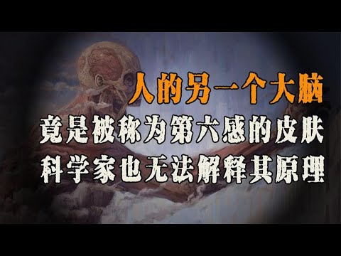 人体最诡异的器官，神秘的“第三只眼”，第六感到底来源于哪？