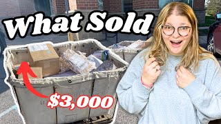 GREAT SALES OVER $50! 🤑 What Sold on Poshmark & eBay in November 2024!