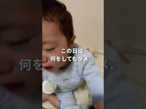 泣き止まない1歳児が突然ピタッ!? 次の瞬間、想像を超える展開に親驚愕😱👶 #育児日記 #1歳 #shorts