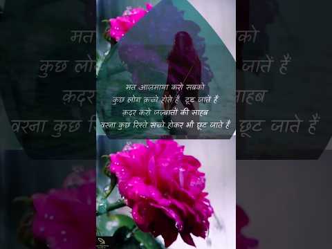 kadar karo jajbaaton ki  #hearttouchingpoery #whatsappshayri #roseday