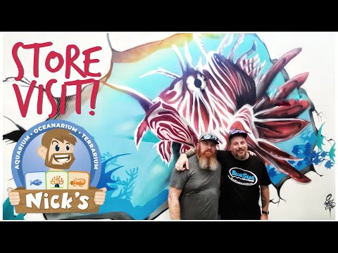 Epic LFS Visit! Nick’s Aquarium Oceanarium Terrarium