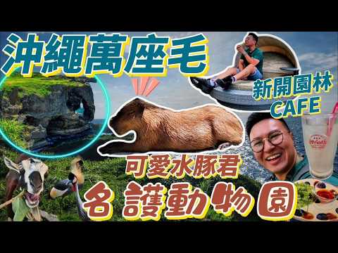 【沖繩 萬座毛】沖繩 動物園😍沖繩自駕遊2024😎沖繩 親子 自由行🥳沖繩咖啡｜沖繩 公園｜沖繩南部民宿｜粵語中字｜4K Eng CC